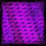 Pink violet purple grunge background Abstract vintage texture N30