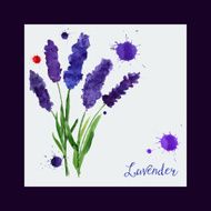 Vector greeting card with watercolor lavender N6