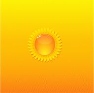 Sunny Background Orange