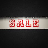 sale on torn paper N2