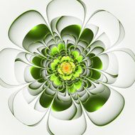 Beautiful green flower on white background Computer generated