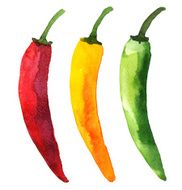 Watercolor colorful vegetable set red hot chili peppers capsaicin