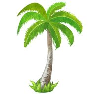 Watercolor green coconut palm tree