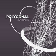 Wireframe mesh polygonal background Wave with connected lines and dots N6