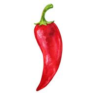 Watercolor vegetable red hot chili pepper closeup