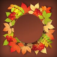 Autumn Vector Fall Leaves N7