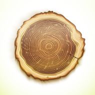 Vector drawing tree stump