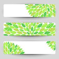 Three banners with green leaves