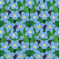 Seamless pattern with beautiful flowers - forget me not N2