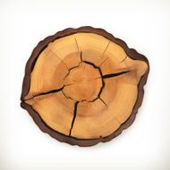 Tree stump round cut with annual rings vector