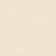 Topographic Map Seamless Pattern Vector Background N3