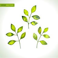 Leaves watercolor vector set N2
