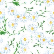 Chamomile flowers seamless vector print