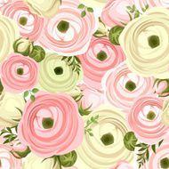 Seamless pattern with pink and white ranunculus flowers Vector illustration