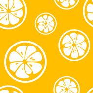 Abstract citrus fruit seamless pattern Vector illustration N6