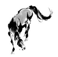 Japanese horse