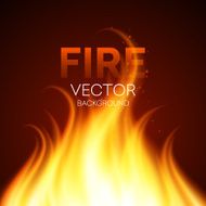 Fire realistic background Vector illustration N5