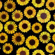 Seamless sunflowers vector background