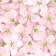 Seamless background with apple blossoms Vector illustration