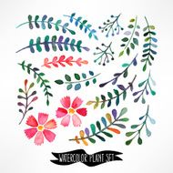 Watercolor leaves and flowers