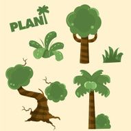 Tree Set N7