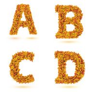 Autumn letters collection N4