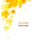 Autumn composition N6