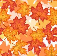 Seamless pattern with autumn maple leaves Vector illustration N8