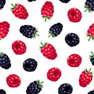 Seamless background with raspberry and blackberry Vector illustration