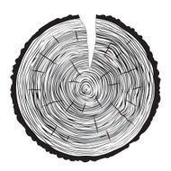 Tree rings background N3