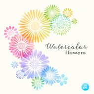 Colorful Watercolor Flowers N2