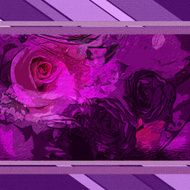 greeting card N237