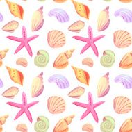 Sea shells watercolor N2