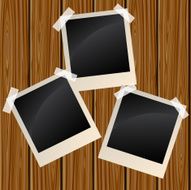 Blank photos on a wooden wall
