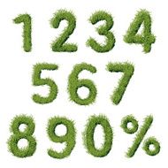Green Grass Numbers Set