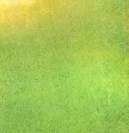 Old green paper texture or background