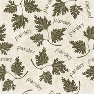 Seamless pattern with parsley Hand-drawn floral background Monochrome vector illustration N2