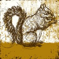 squirrel N15