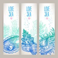 three banners with shells