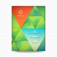 Vector Abstract Triangle Brochure Book covered Flyer Design