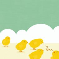 Chicks and worm