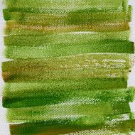 grunge green painted background