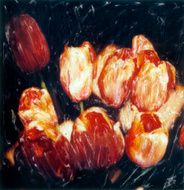 orange tulips N3