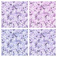 Set of seamless backgrounds with lilac flowers Vector illustration