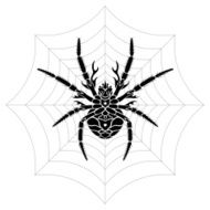 Stylized Spider N2