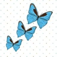Butterfly icons N13