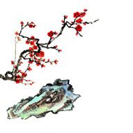 plum bloom and stone N8