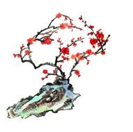 plum bloom and stone N9