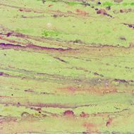 Abstract watercolor splashes background N2