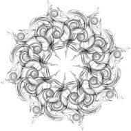 Mandala Skeych Graphic pattern modern ornament N11